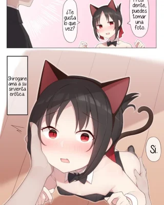Nekomimi no Kaguya-sama (Kaguya-sama wa Kokurasetai)