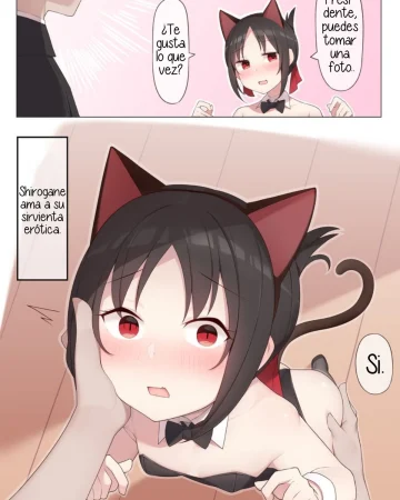 Nekomimi no Kaguya-sama (Kaguya-sama wa Kokurasetai)
