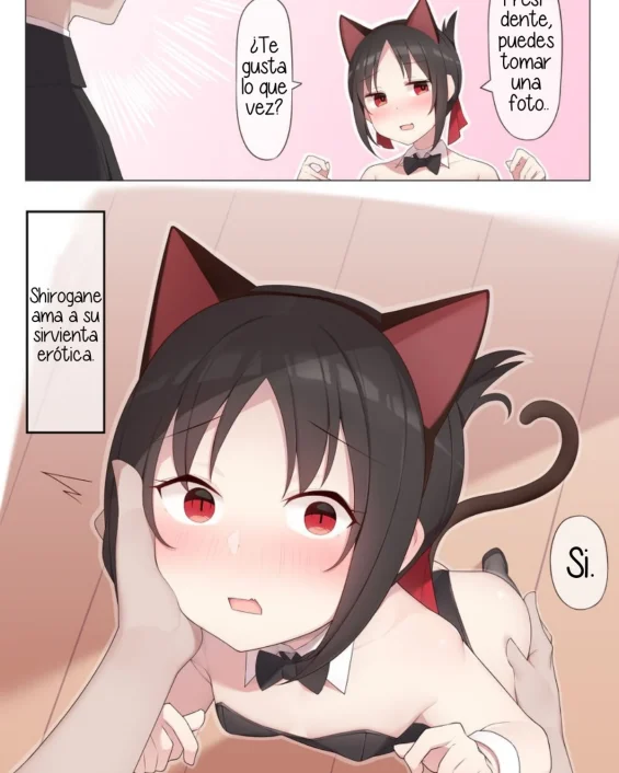 Nekomimi no Kaguya-sama (Kaguya-sama wa Kokurasetai)