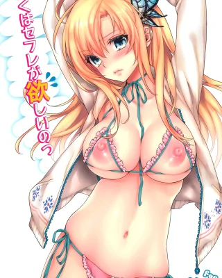 Niku wa SeFri ga Hoshii no (Boku wa Tomodachi ga Sukunai)