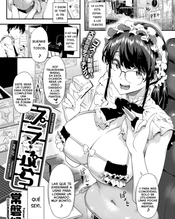 Pla-Pura PR-02 Tsukishima Misaki (COMIC ExE 38)