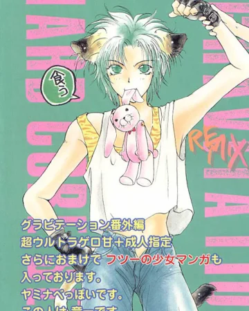 Remix Gravitation 2 (Gravitation)