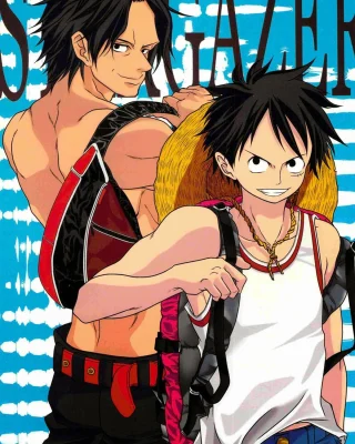 STARGAZER (One Piece)