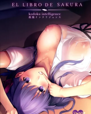 THE BOOK OF SAKURA (Fate/stay night)