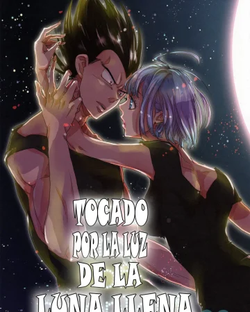 The drop of moonlight (Dragon Ball Z)