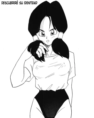 Watashi wa kare no mimoto o akiraka ni shimasu (Dragon Ball Z)