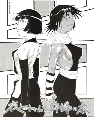 Yoruichi Nyan to Soi Fon no Hon (Bleach)