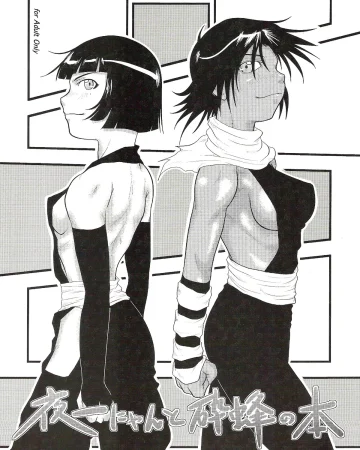 Yoruichi Nyan to Soi Fon no Hon (Bleach)