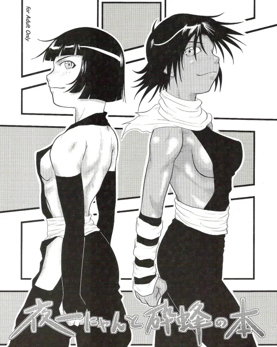 Yoruichi Nyan to Soi Fon no Hon (Bleach)