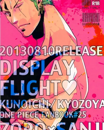 DISPLAY FLIGHT (One Piece)
