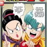 Bulma Briefs