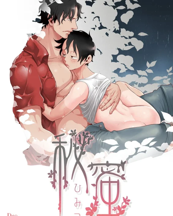 Himitsu | Secret (One Piece)