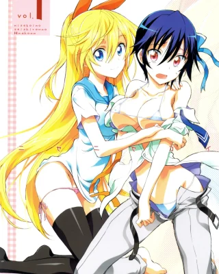 Nisenisekoi 1 (Nisekoi)