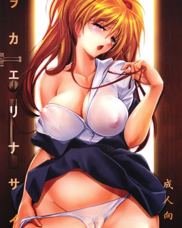 Okaerinasai (Neon Genesis Evangelion)