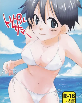 Triple Summer (One Piece)