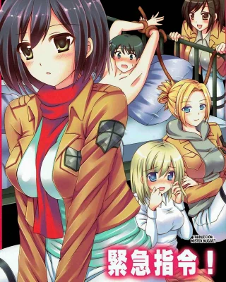 Kinkyuu Shirei! (Shingeki no Kyojin)