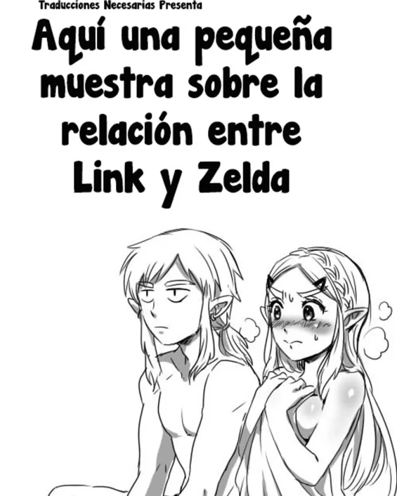 Link to Zelda no Shoshinsha ni Yasashii Sex Nyuumon | Aquí una Pequeña Lección sobre la Relación de Link y Zelda (The Legend of Zelda: Breath of the Wild)